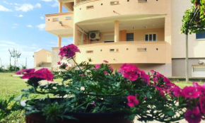 Гостиница Apartments Vali  Улцинь